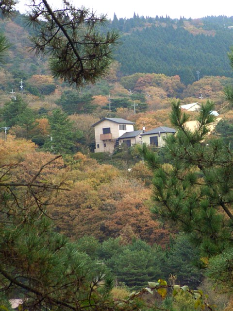 別荘地