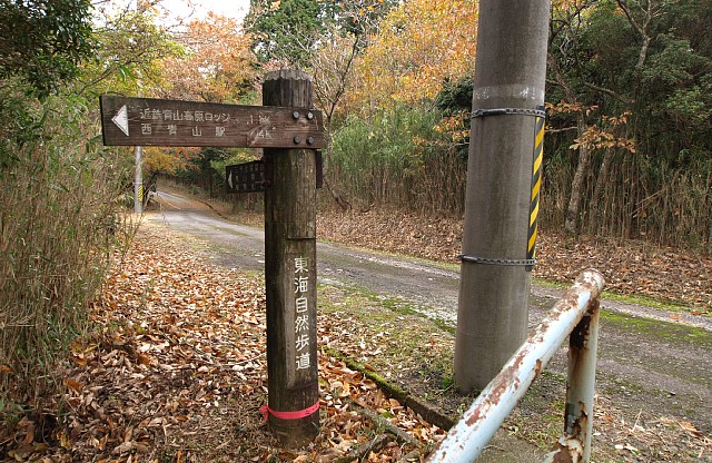 登り口