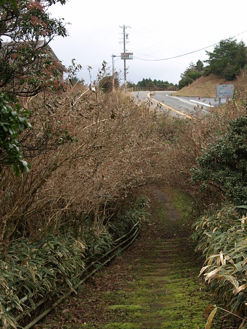 間違いの道