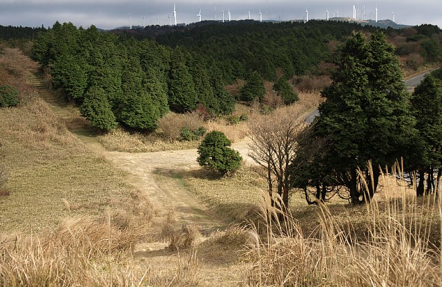 青山高原