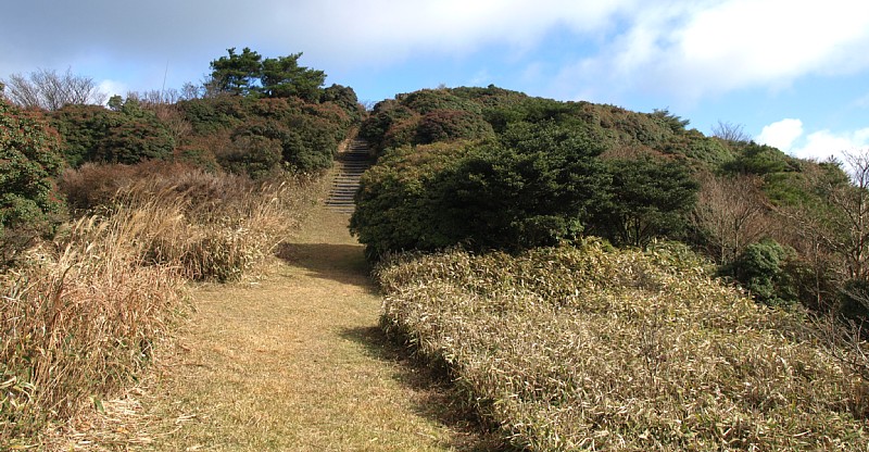 草原の道