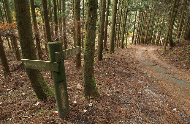 馬野川沿いの道