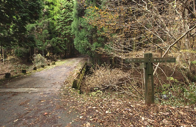 馬野渓分岐