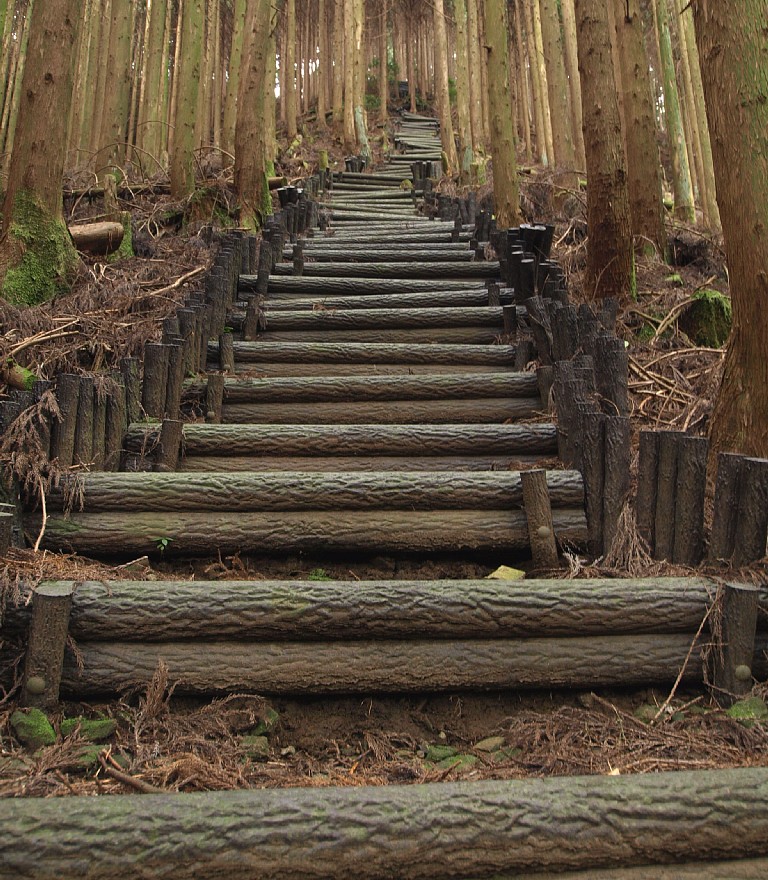 プラ階段