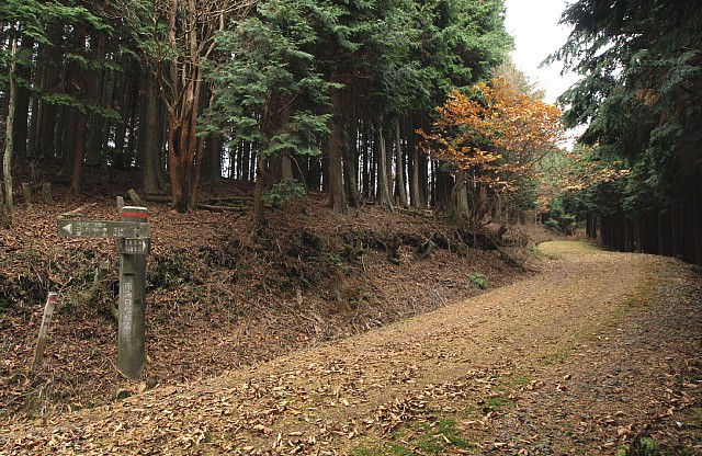 笠取山分岐