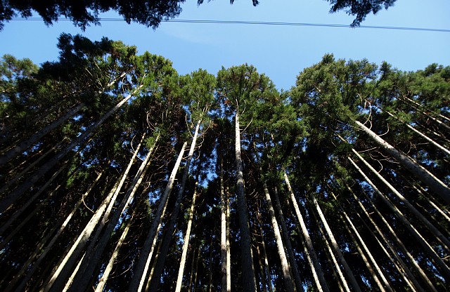 青空