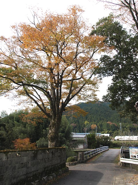 槙野橋