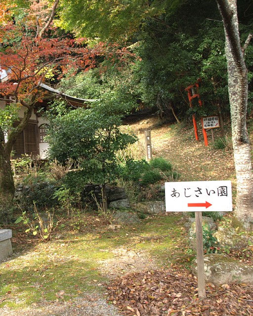 境内