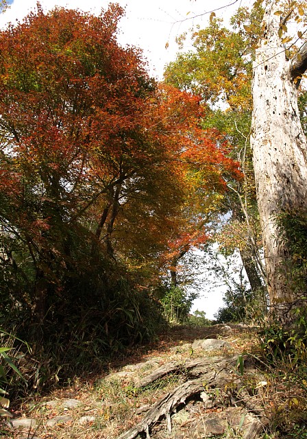 西国三十三ケ所霊場巡り遊歩道