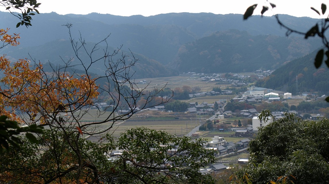 富永