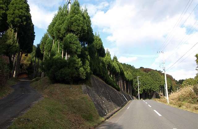 複線区間の西側コース