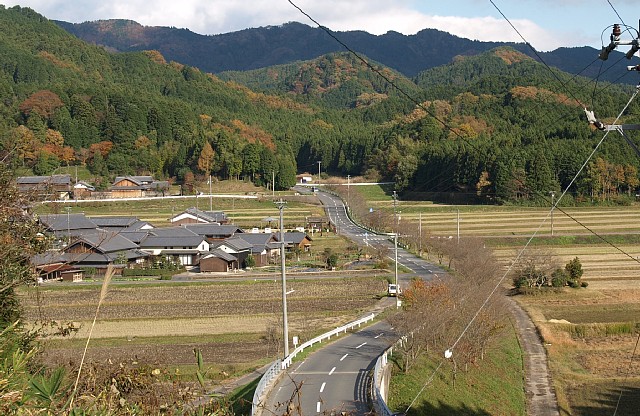 子延
