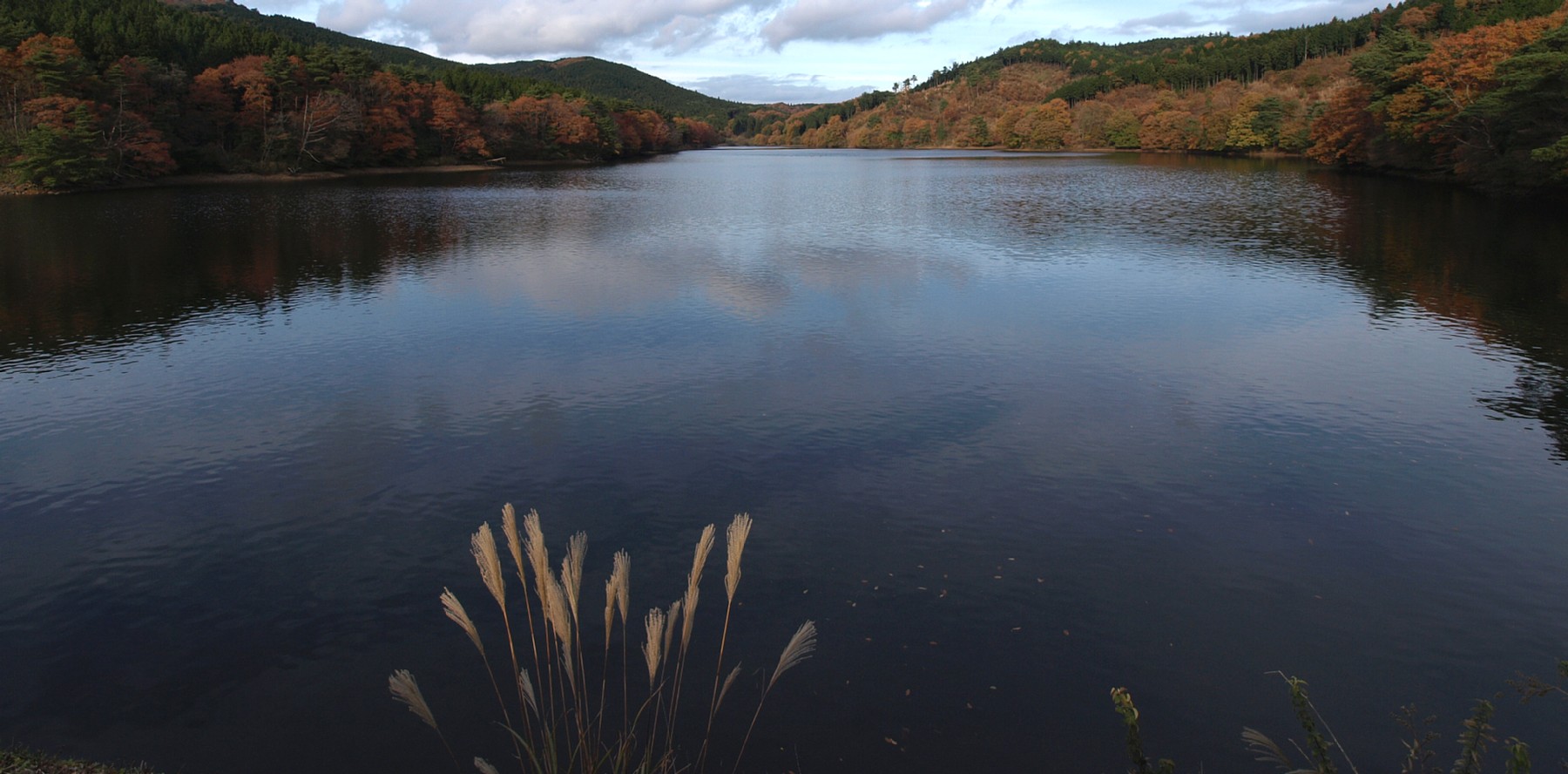 田代池