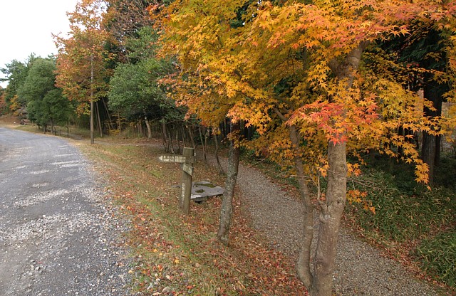 湖岸周遊道