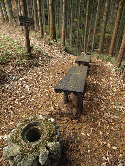登山道のベンチ