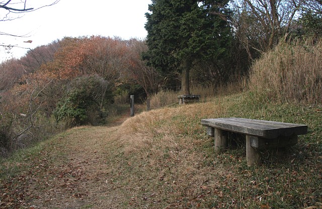 見晴らしベンチ