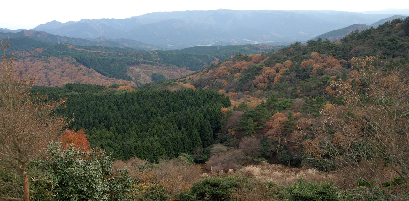 青山高原
