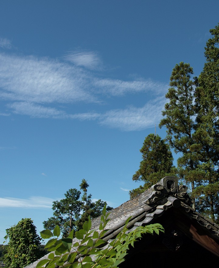 熊野神社の空