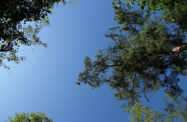 狭い空