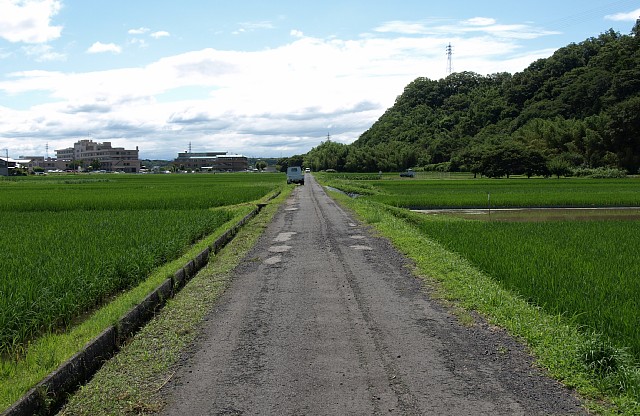 田園地帯