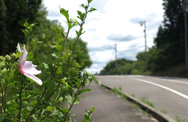 峠道