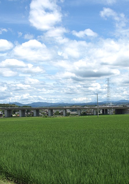 今の田園地帯