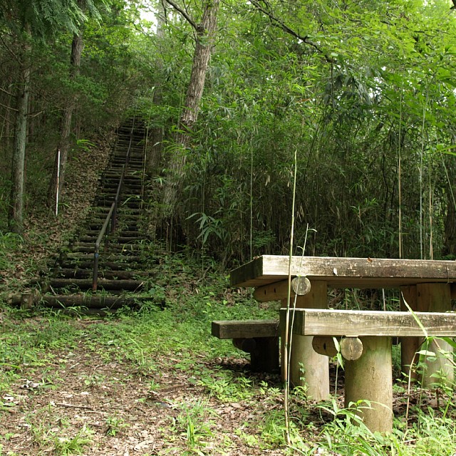 丸木階段