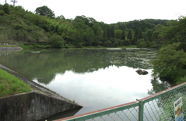 南山溜池