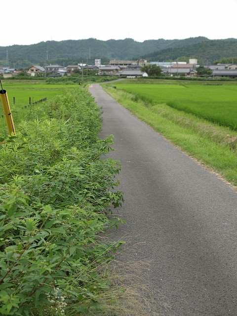 御嵩の田園地帯