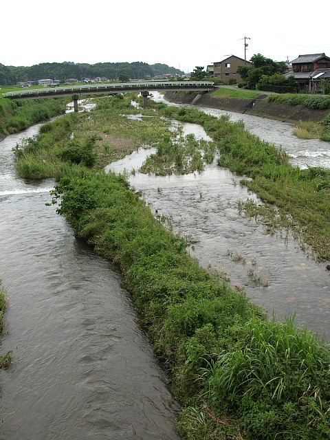 可児川