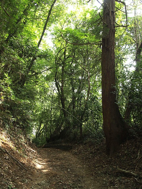 峠