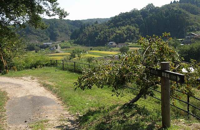 津橋川流域