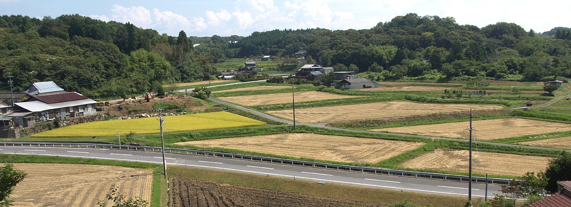平岩