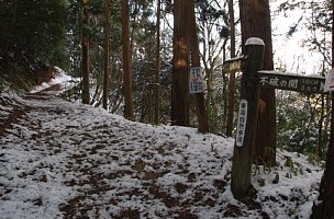 松尾山登山道