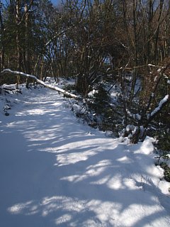 新雪の道