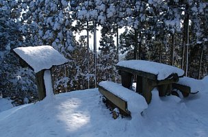 ベンチと解説板