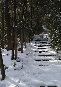 城山登山道