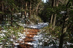 下山道