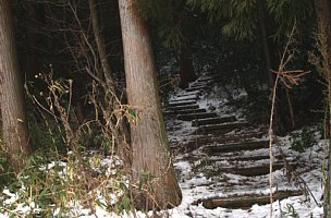 笹尾山登山道