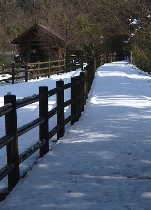 雪面