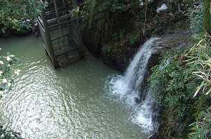 鶯の滝