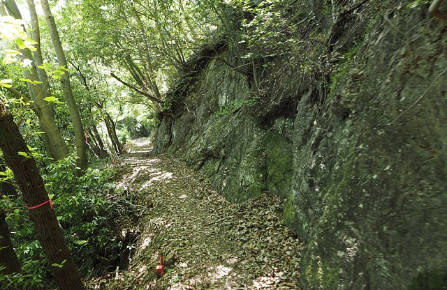 崖路