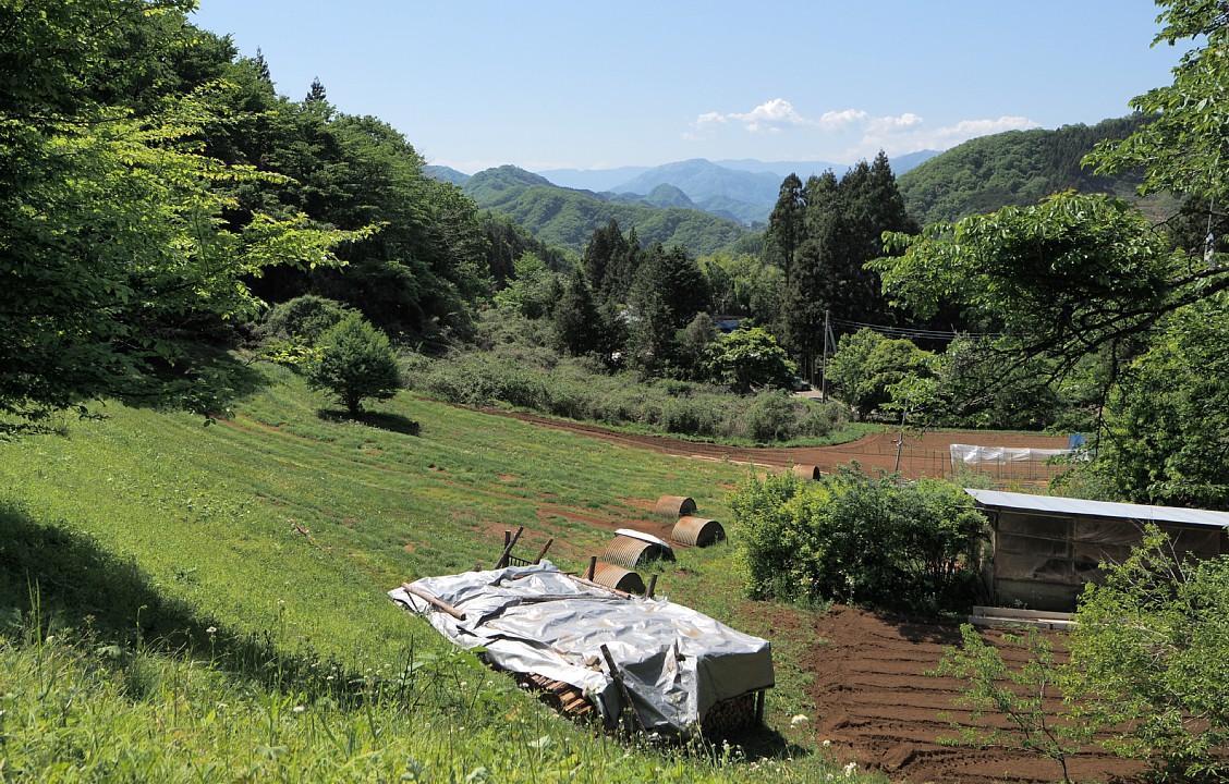 田ヶ岡