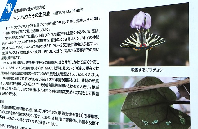 説明板