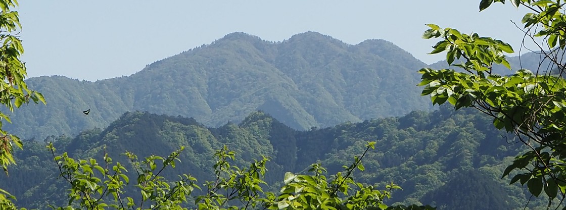 丹沢三峰山