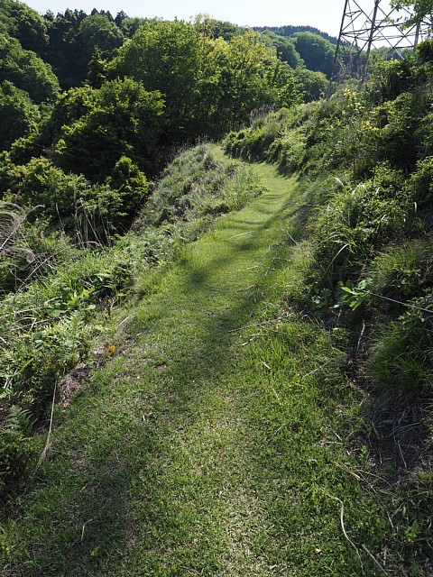 緑の道