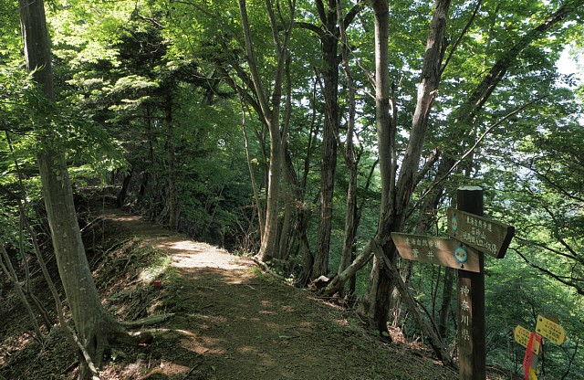 稜線道
