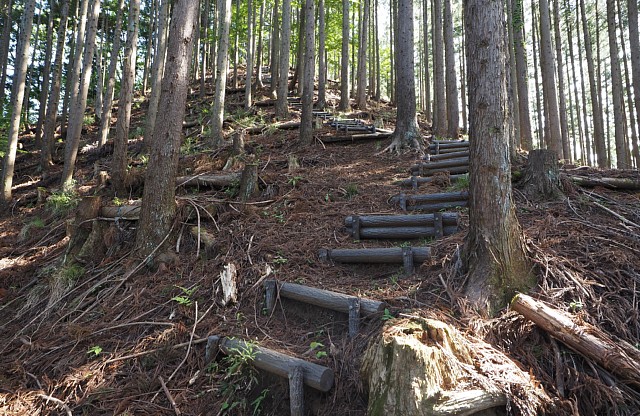 登山道