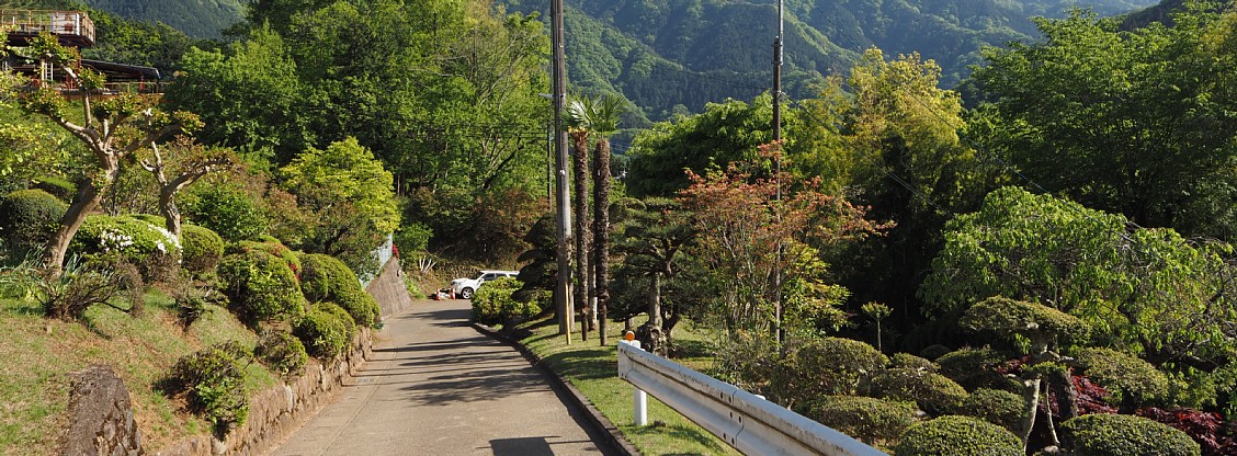 菅井花街道