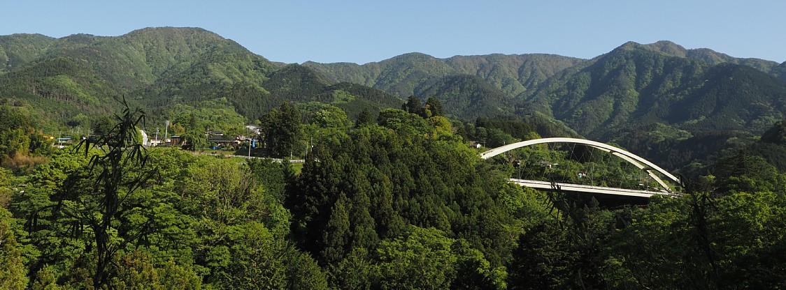 上野田大橋